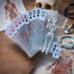 Transparent anatomy playing cards spread on a wooden table, featuring clear plastic cards with detailed human skeleton illustrations, surrounded by anatomy charts and medical study props.