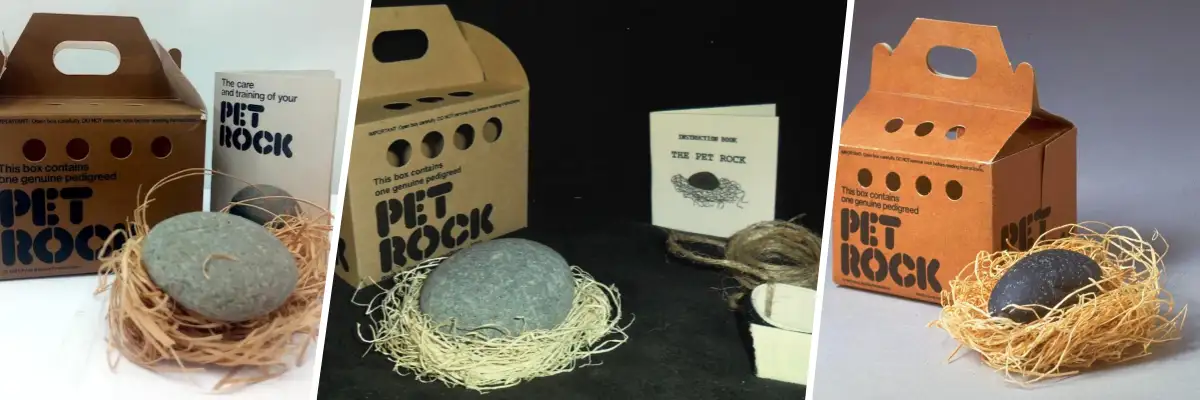 Original 1970s Pet Rock packaging, a classic example of a novelty product that became a cultural phenomenon.